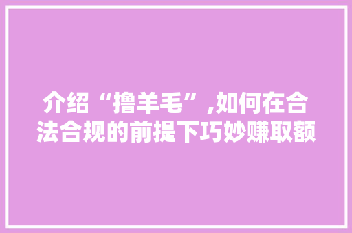 介绍“撸羊毛”,如何在合法合规的前提下巧妙赚取额外收益 建站教程