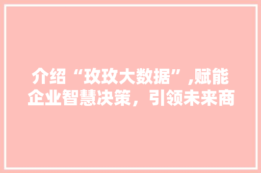 介绍“玫玫大数据”,赋能企业智慧决策，引领未来商业潮流 SEO教程