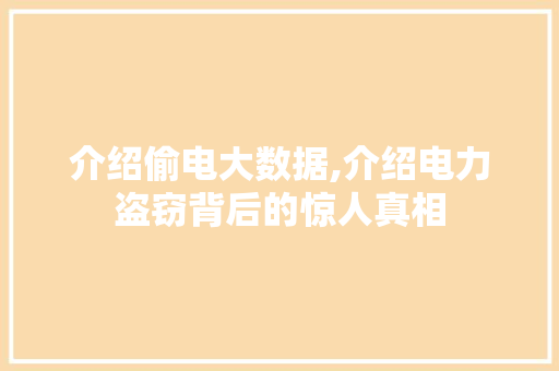 介绍偷电大数据,介绍电力盗窃背后的惊人真相