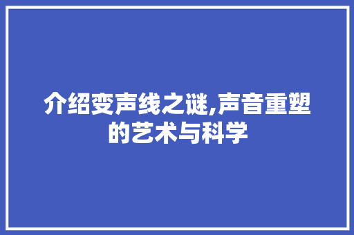 介绍变声线之谜,声音重塑的艺术与科学 Web前端