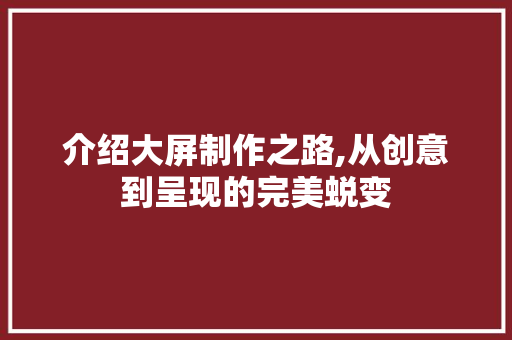 介绍大屏制作之路,从创意到呈现的完美蜕变