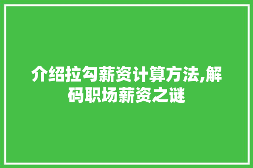 介绍拉勾薪资计算方法,解码职场薪资之谜