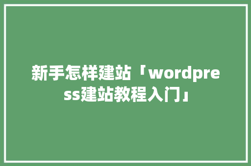 新手怎样建站「wordpress建站教程入门」 SEO教程