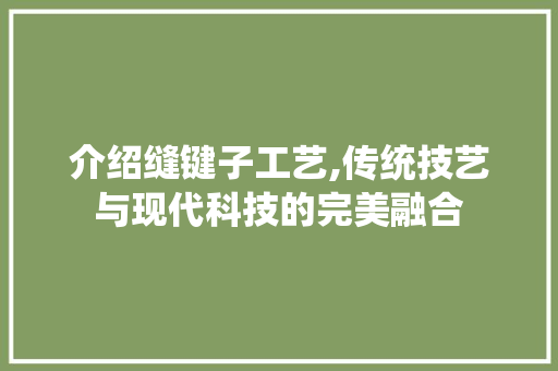 介绍缝键子工艺,传统技艺与现代科技的完美融合