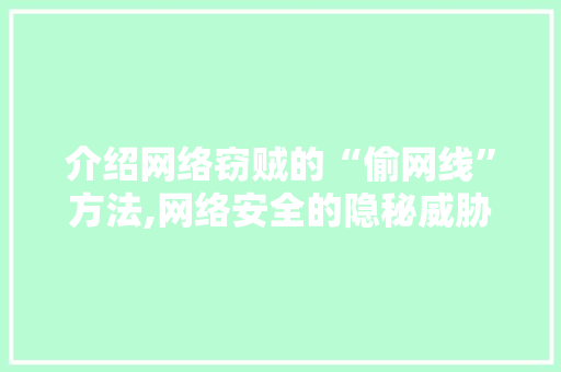 介绍网络窃贼的“偷网线”方法,网络安全的隐秘威胁