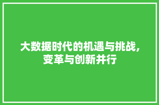 大数据时代的机遇与挑战,变革与创新并行