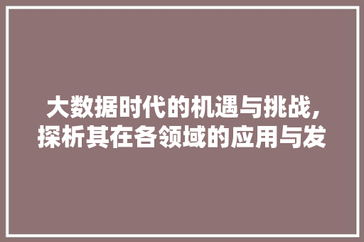 大数据时代的机遇与挑战,探析其在各领域的应用与发展