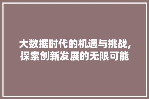 大数据时代的机遇与挑战,探索创新发展的无限可能
