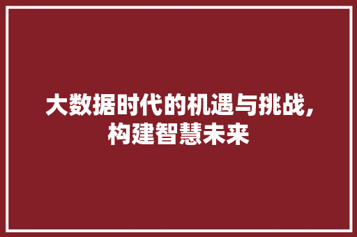 大数据时代的机遇与挑战,构建智慧未来