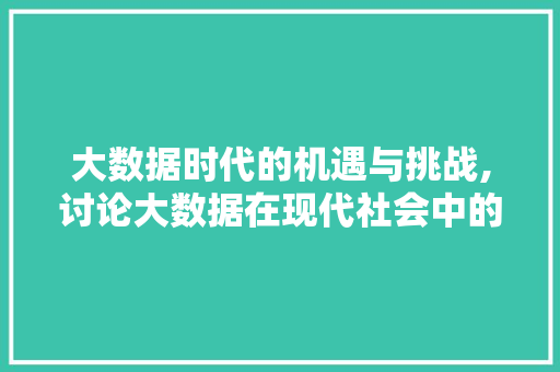 大数据时代的机遇与挑战,讨论大数据在现代社会中的应用与影响