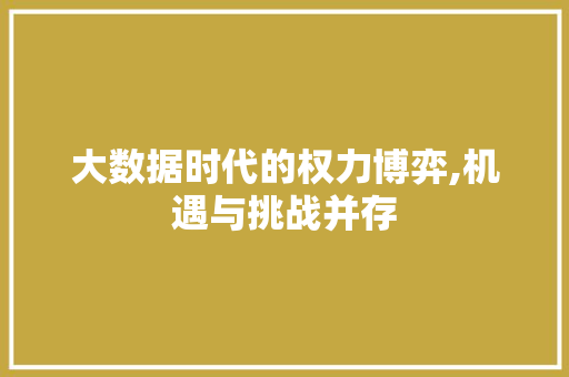 大数据时代的权力博弈,机遇与挑战并存
