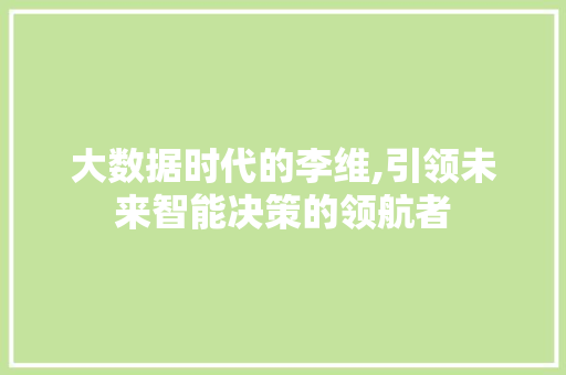 大数据时代的李维,引领未来智能决策的领航者