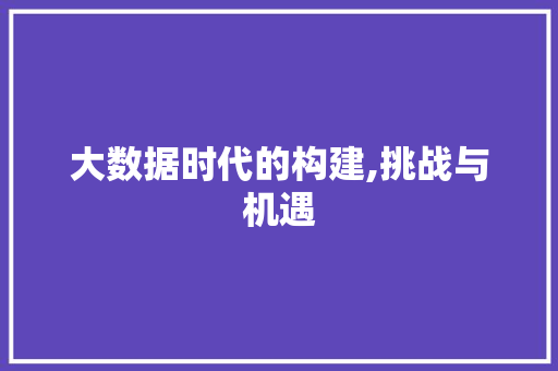大数据时代的构建,挑战与机遇 建站教程