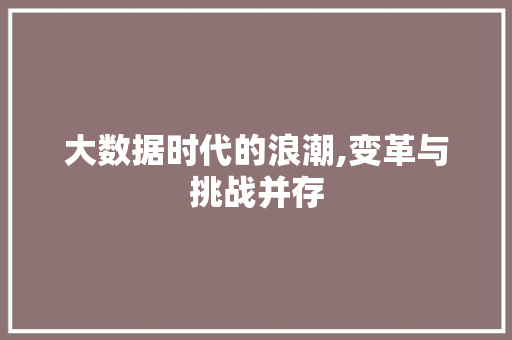 大数据时代的浪潮,变革与挑战并存