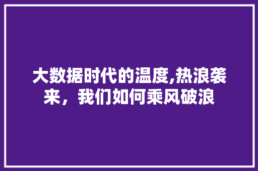大数据时代的温度,热浪袭来，我们如何乘风破浪 友链在线