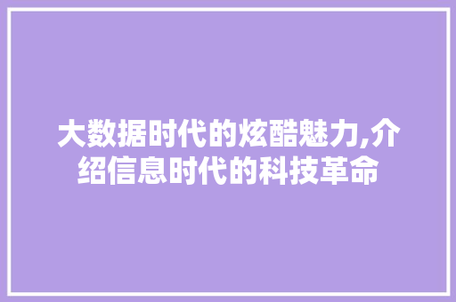 大数据时代的炫酷魅力,介绍信息时代的科技革命 建站教程