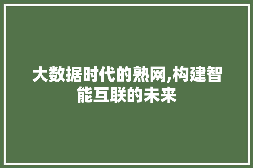 大数据时代的熟网,构建智能互联的未来