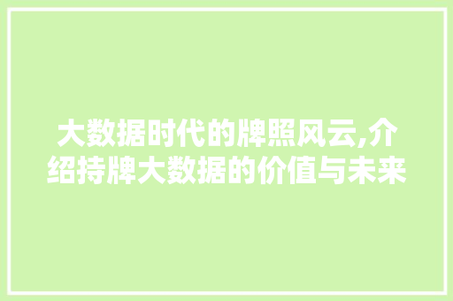 大数据时代的牌照风云,介绍持牌大数据的价值与未来