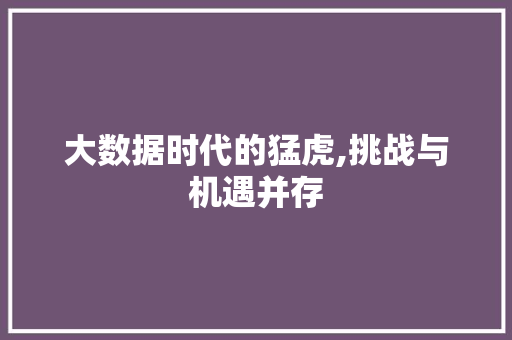 大数据时代的猛虎,挑战与机遇并存