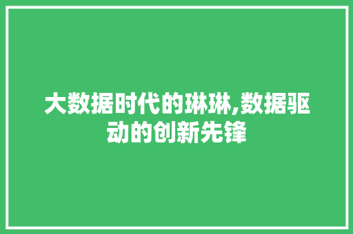 大数据时代的琳琳,数据驱动的创新先锋