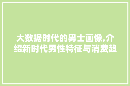 大数据时代的男士画像,介绍新时代男性特征与消费趋势