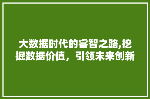 大数据时代的睿智之路,挖掘数据价值，引领未来创新