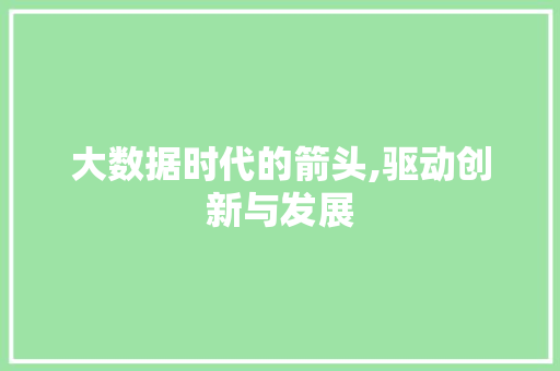 大数据时代的箭头,驱动创新与发展