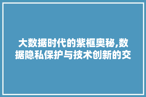 大数据时代的紫框奥秘,数据隐私保护与技术创新的交融