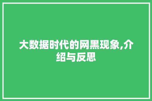 大数据时代的网黑现象,介绍与反思