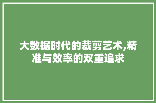 大数据时代的裁剪艺术,精准与效率的双重追求 Web前端