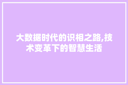 大数据时代的识相之路,技术变革下的智慧生活