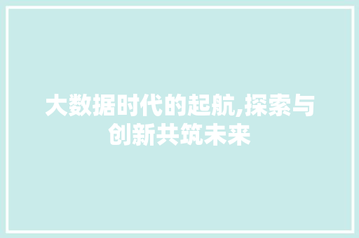 大数据时代的起航,探索与创新共筑未来 建站教程