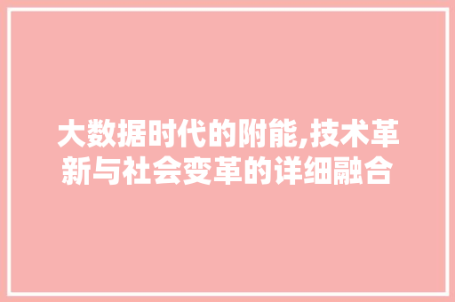 大数据时代的附能,技术革新与社会变革的详细融合 WordPress教程