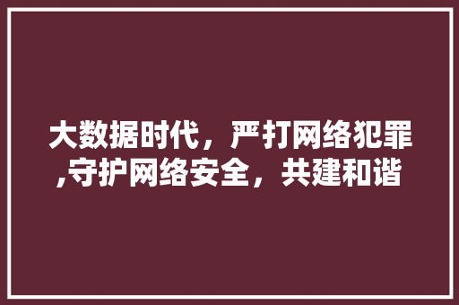 大数据时代，严打网络犯罪,守护网络安全，共建和谐社会
