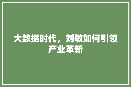 大数据时代，刘敏如何引领产业革新