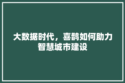 大数据时代，喜鹊如何助力智慧城市建设 WordPress教程