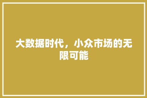 大数据时代，小众市场的无限可能