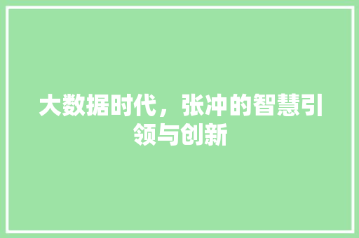 大数据时代，张冲的智慧引领与创新 建站教程