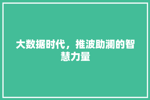 大数据时代，推波助澜的智慧力量