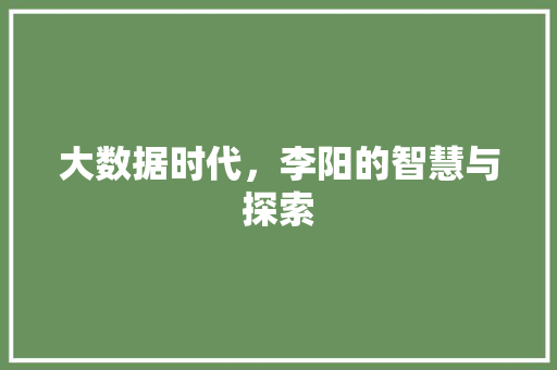 大数据时代，李阳的智慧与探索