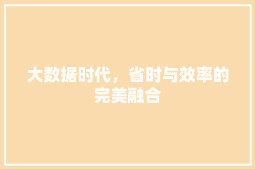 大数据时代，省时与效率的完美融合