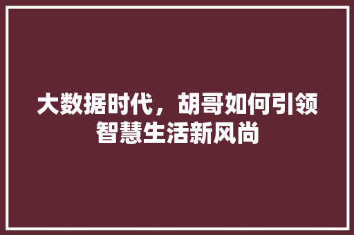 大数据时代，胡哥如何引领智慧生活新风尚 SEO教程