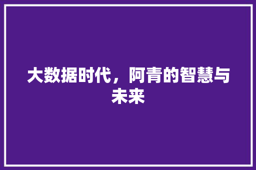 大数据时代，阿青的智慧与未来 WordPress教程