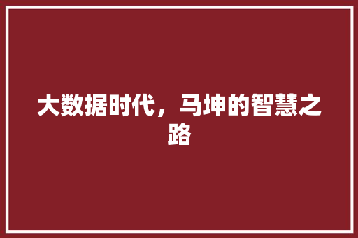 大数据时代，马坤的智慧之路 建站教程