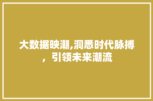 大数据映潮,洞悉时代脉搏，引领未来潮流
