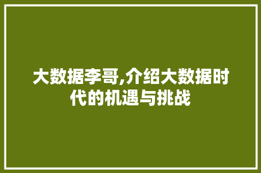 大数据李哥,介绍大数据时代的机遇与挑战