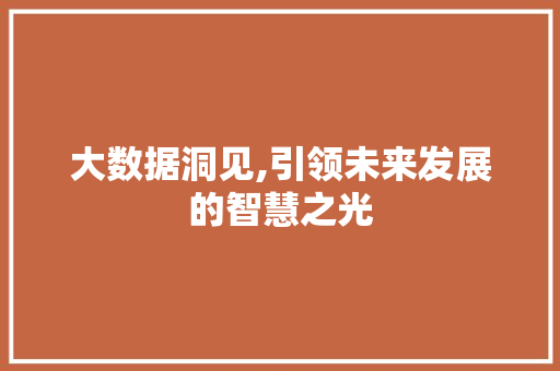 大数据洞见,引领未来发展的智慧之光 友链在线