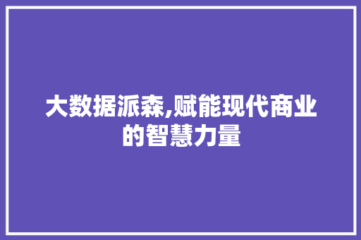 大数据派森,赋能现代商业的智慧力量 友链在线