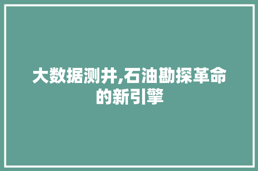 大数据测井,石油勘探革命的新引擎 Web前端