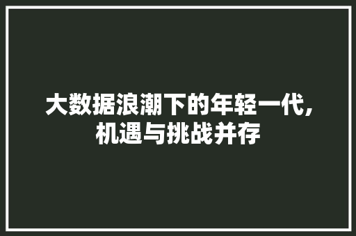 大数据浪潮下的年轻一代,机遇与挑战并存 SEO教程